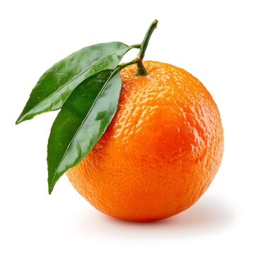 Fresh orange  leaf attached