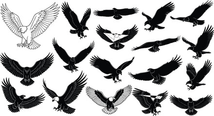 Fototapeta premium Vector illustration of eagles in dynamic flying and landing poses, stylized black silhouettes and detailed line artwork showcasing feathers