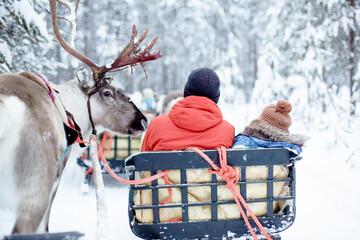 Family enjoying reindeer sleigh ride in winter forest, rear view © Marilin