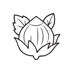 Hazelnut vector outline. Minimalistic style.
