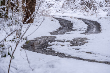 雪解けの水たまりが光る冬の林道と曲線を描く轍