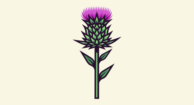 Illustration of a Scottish Thistle Flower.