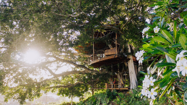 Aerial view of a whimsical treehouse nestled within a verdant canopy, sunlight filtering through leaves, creating a magical, sun-drenched haven, Honolulu, Hawaii, United States.