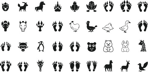 Crow silhouette illustration, standing upright and walking bird poses, expressive wildlife characters, black vector animal art design © MdRaihan