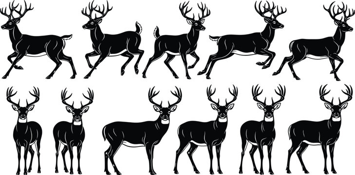 Deer silhouette illustration, running and standing poses, antlered wildlife characters, black vector animal art, creative nature design icons collection