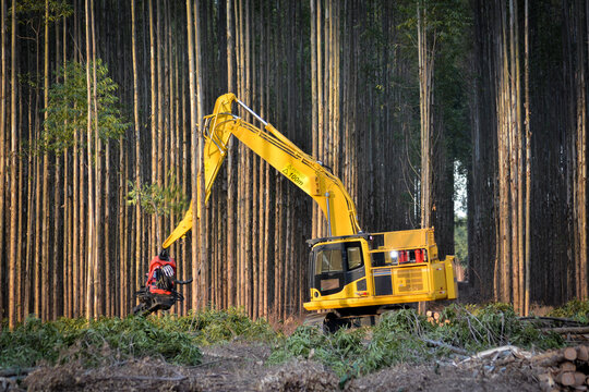 Logging Forestry Machine Equipment Timber Harvesting