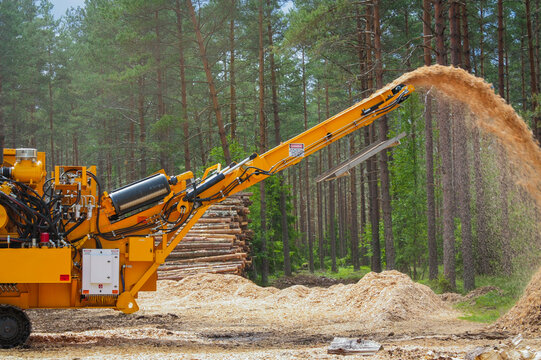 Logging Forestry Machine Equipment Timber Harvesting