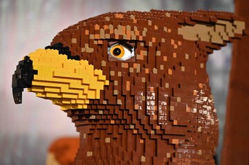 Obraz premium Lego Eagle