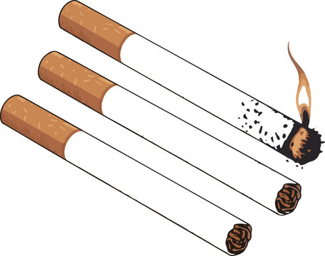 Vector joint or spliff