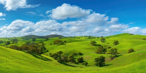 Fototapeta premium The Rolling Green Hills Stretch Across A Sunlit Rural Valley Under Blue Sky