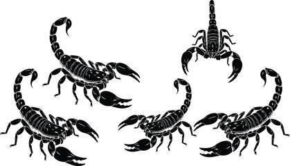 Black scorpion silhouette set with various stinging poses isolated on white background for dangerous desert wildlife and toxic arachnid design