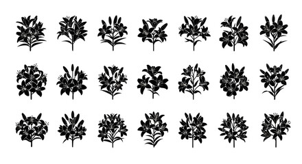 Collection of various black floral silhouettes on white background for design and decoration