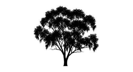 Silhouette of a large tree with dense foliage against a white background symbolizing nature and serenity