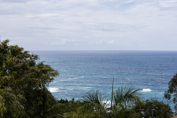 Obraz premium Tropical ocean horizon with lush green palm trees