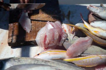 Fishermen filleting fresh tropical reef fish on a boat table with large trevally in foreground in Sisal, Yukatan, Mexico.