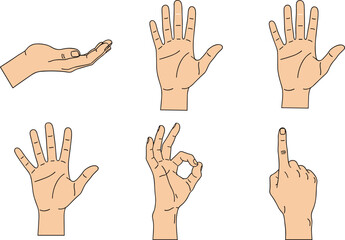 Fototapeta premium Flat vector illustration of human hand gestures and signs, collection of diverse hand positions, pointing, open palm, and okay sign.