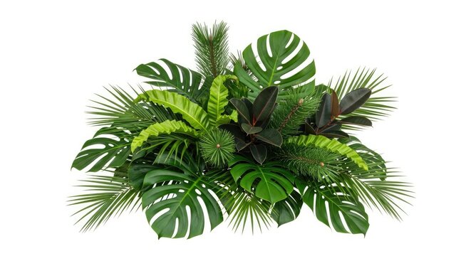 Lush tropical and coniferous foliage bouquet featuring Monstera, palm, fern, and Ficus leaves, isolated on white background.