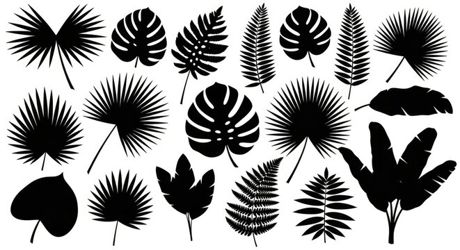 Collection of tropical leaves silhouettes. Exotic jungle foliage set, including monstera, palm, and fern leaves, isolated vector illustration on white background.