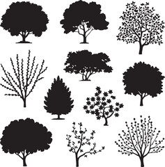 set of trees in various shapes and sizes on white background