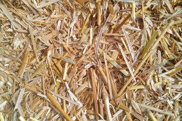 Dry straw texture background, yellow farm straw
