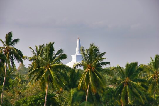 Mihintale stupa rising above lush coconut palms