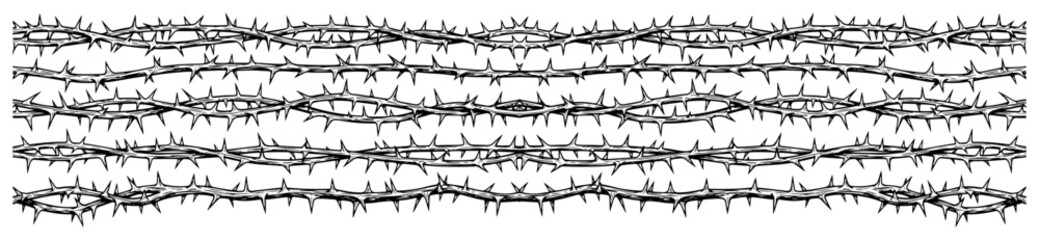 Texture of sharp thorny branches and brambles in horizontal lines © Amelia