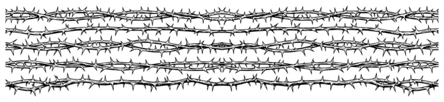 Texture of sharp thorny branches and brambles in horizontal lines