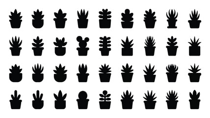 Collection of 30 different succulent and cactus silhouettes in black pots on white background for design and decoration © Tuli