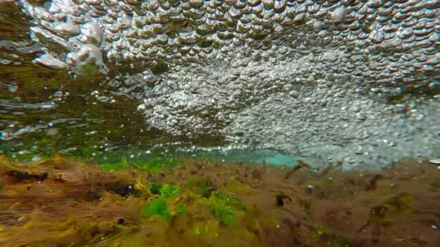 An oncoming stream of water with many air bubbles rushes above the bottom of a mountain stream covered with red and green filamentous algae, close-up, super slow motion