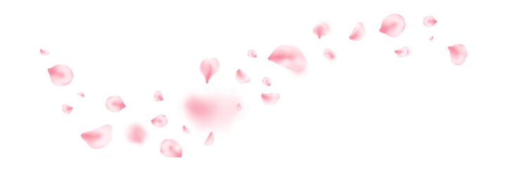 Spring cherry blossom frame. Sakura petal flying composition. Japan flower banner. Cosmetic beauty product wave. Natural decoration. Spa pink rose bg. Valentine romantic card. Vector illustration © Liubov