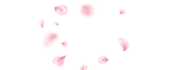 Spring cherry blossom wave. Sakura petal flying composition. Japan flower banner. Cosmetic beauty product. Natural decoration. Spa pink rose bg. Valentine romantic card. Vector illustration