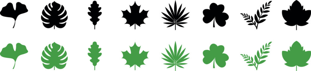 Collection of various black and green leaf silhouettes with different shapes and textures © Pro Creator