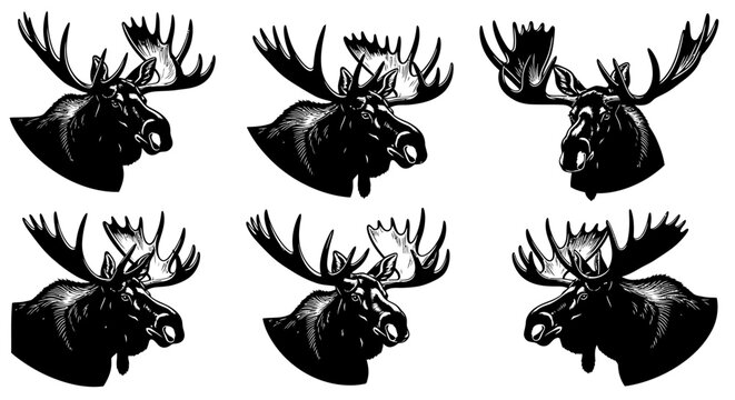 Collection of moose head silhouettes with large antlers in various orientations, vector illustration, monochrome, wildlife, animal art