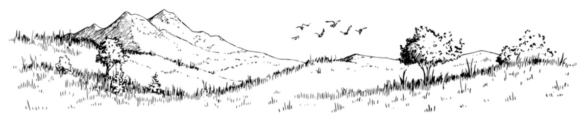 Obraz premium Mountain meadow landscape with trees and birds hand-drawn nature scene