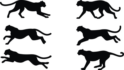 cheetah, run, sprint, speed, silhouette, animal, wildlife, predator, fast, stride, motion, sequence, dynamic, mammal, hunt, chase, movement, posture, flexibility, biomechanics, artwork © Itz Raju