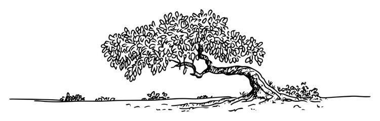 Tree with curved trunk hand drawn sketch © Kaz