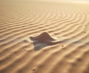 Sand Ripples with Central Shadow Casting Object