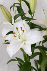 A close-up of a bouquet of white lilies