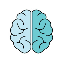Illustration of a human brain split in two halves. Vector Illustration