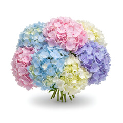 Colorful hydrangea flowers in pink blue purple and white hues together  bouquet