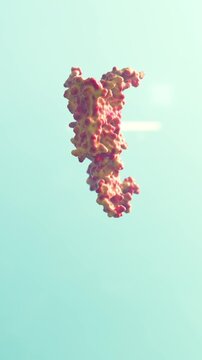 Glucagon-like peptide 1 (GLP1, 7-36) molecule The glucagon like peptide-1 receptor has a strong effect on the management of type 2 diabetes mellitus. 3d rendering	