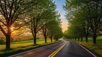 Obraz premium Winding country road lined with trees at sunset golden hour.