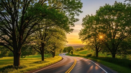 Fototapeta premium Winding country road lined with trees during a golden sunset.