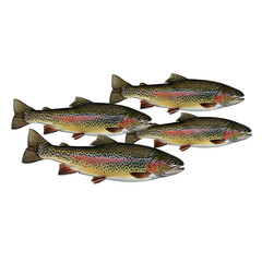 Naklejka premium A group of four detailed rainbow trout swimming together on a, transparent background