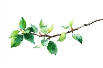 Obraz premium Watercolor painting of a branch with fresh green leaves