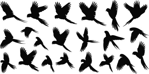Flying parrot silhouette collection, tropical macaw vector set, exotic bird flight motion shapes, jungle wildlife outlines, nature avian graphics, isolated wing poses, flat vector illustration. © Rajbala