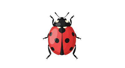 Fototapeta premium Red ladybug with black spots and antennae isolated on transparent background
