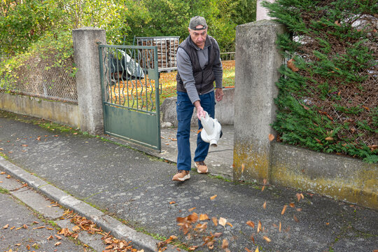 manual worker clean the fallen leaves on the road by blower