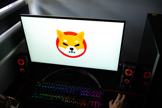 Punta Arenas, Chile &ndash; February 18, 2026: A person at a desk with the Shiba Inu (SHIB) cryptocurrency logo displayed on a computer monitor