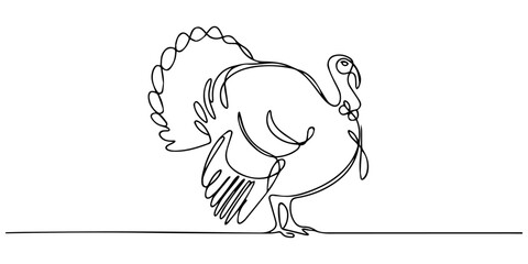 Male wild turkey continuous one line drawing, One continuous line.Turkey bird. Holiday symbol. Thanksgiving Day. One continuous line on a white background, turkey bird single line drawing vector, pro. © Gerish